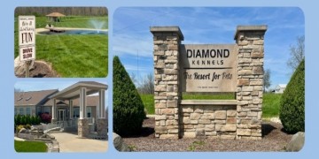Diamond Kennels